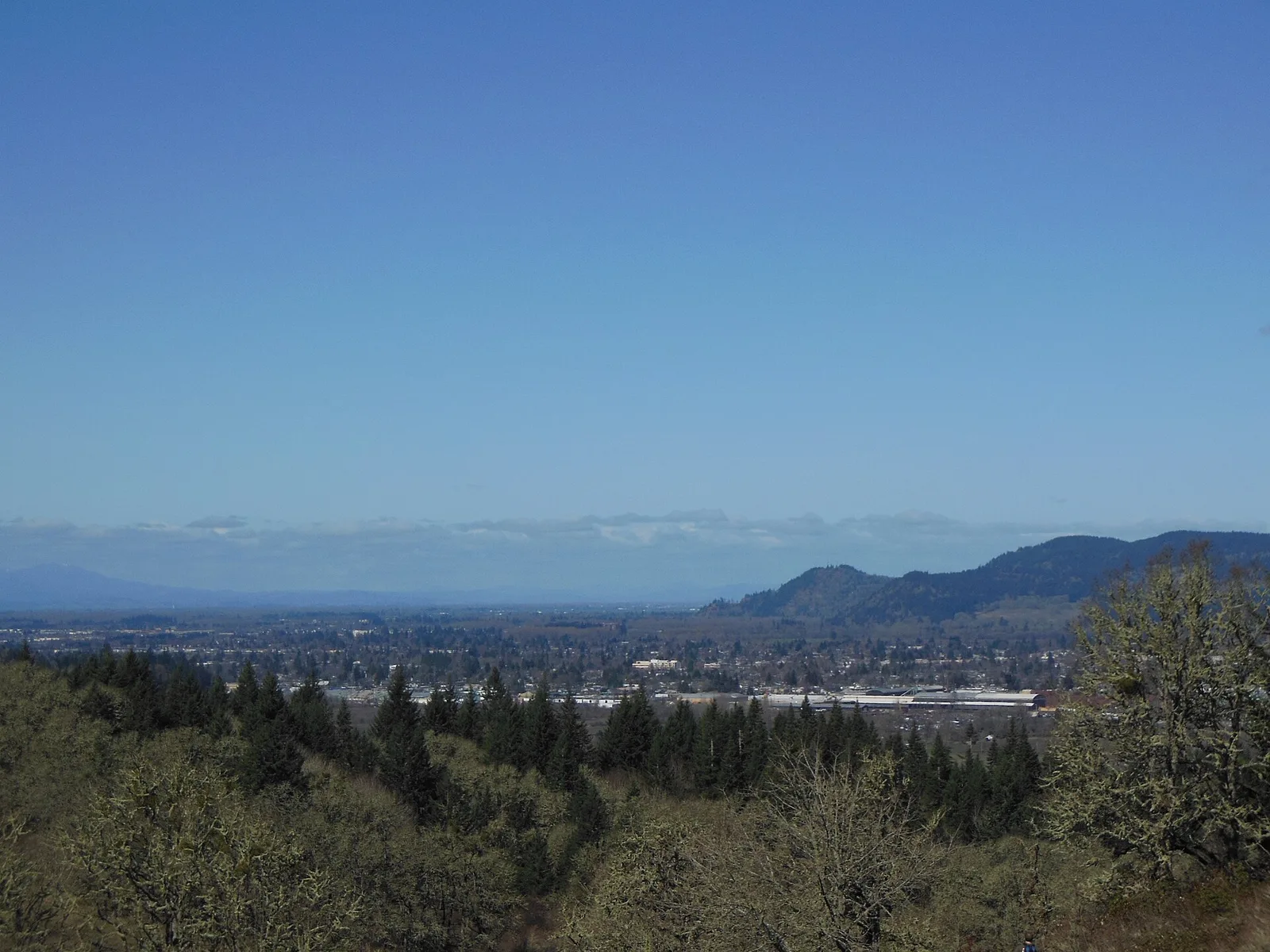 Springfield, Oregon: Eugene and Springfield from Mount Pisgah