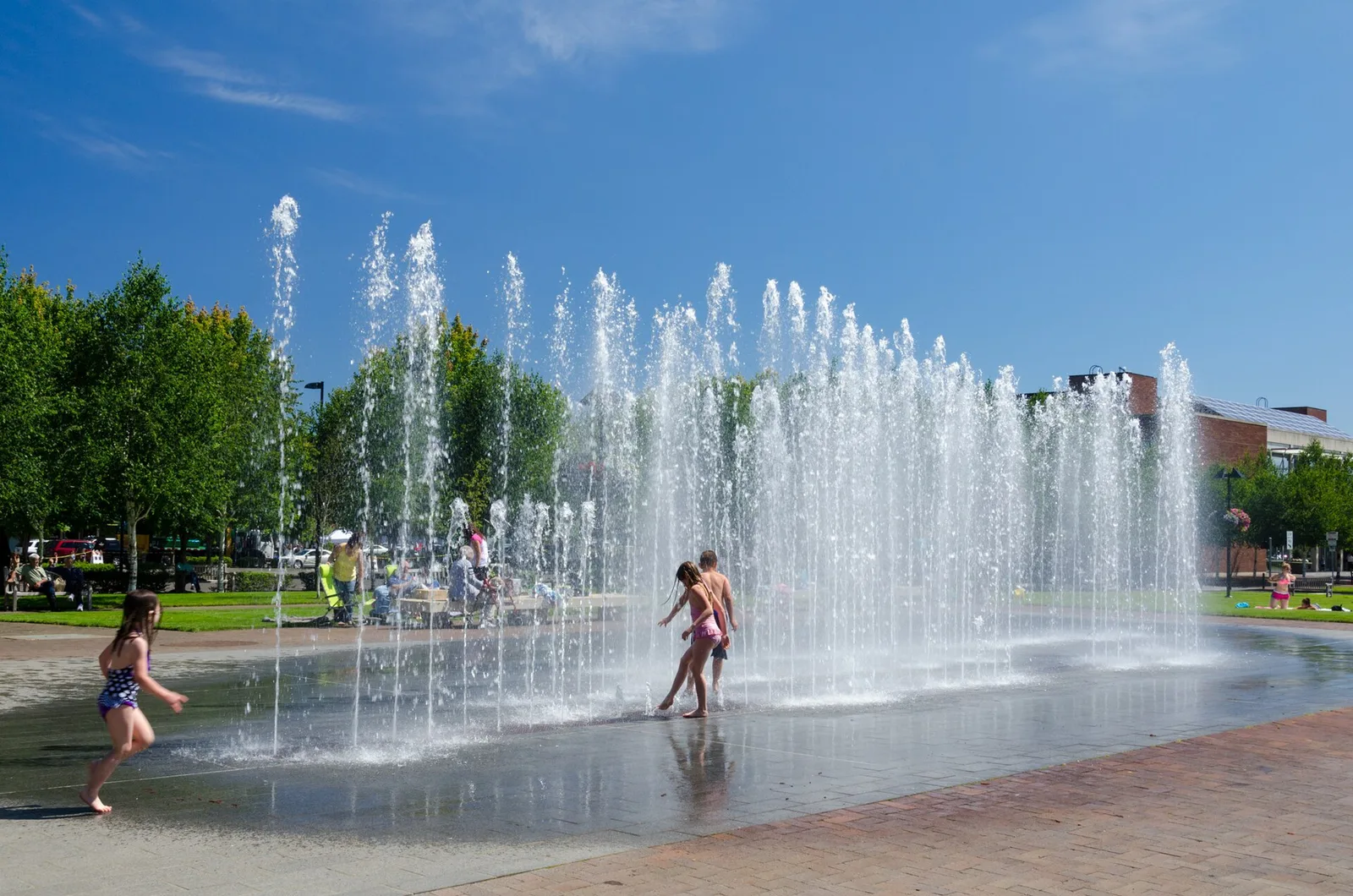 Beaverton, Oregon 当地景观:Beaverton, Beaverton City Park - DPLA - 5470163b18bcaccbc14d6f88e91674c9