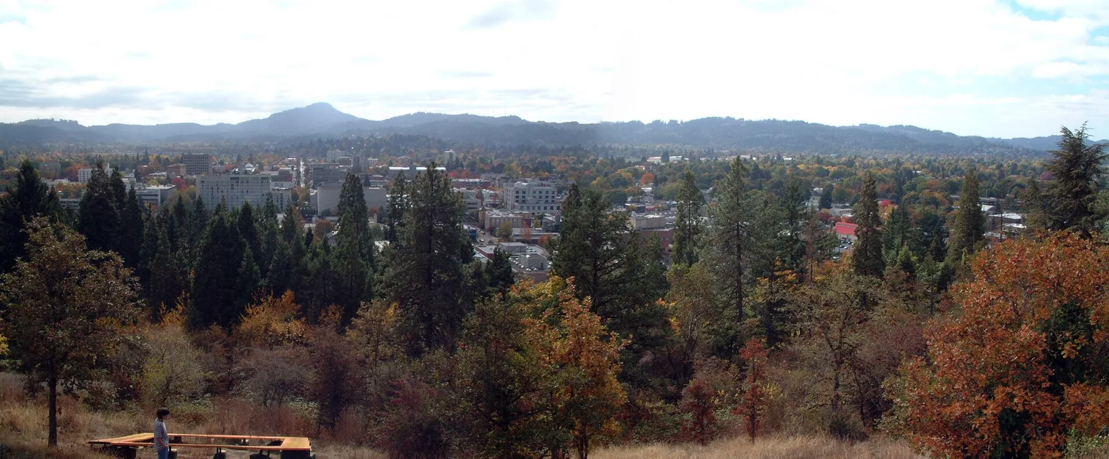 Eugene, Oregon 当地景观:Eugene panorama