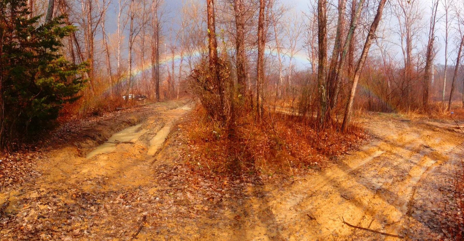 Euless, Texas 当地景观:A Miracle rainbow. - panoramio