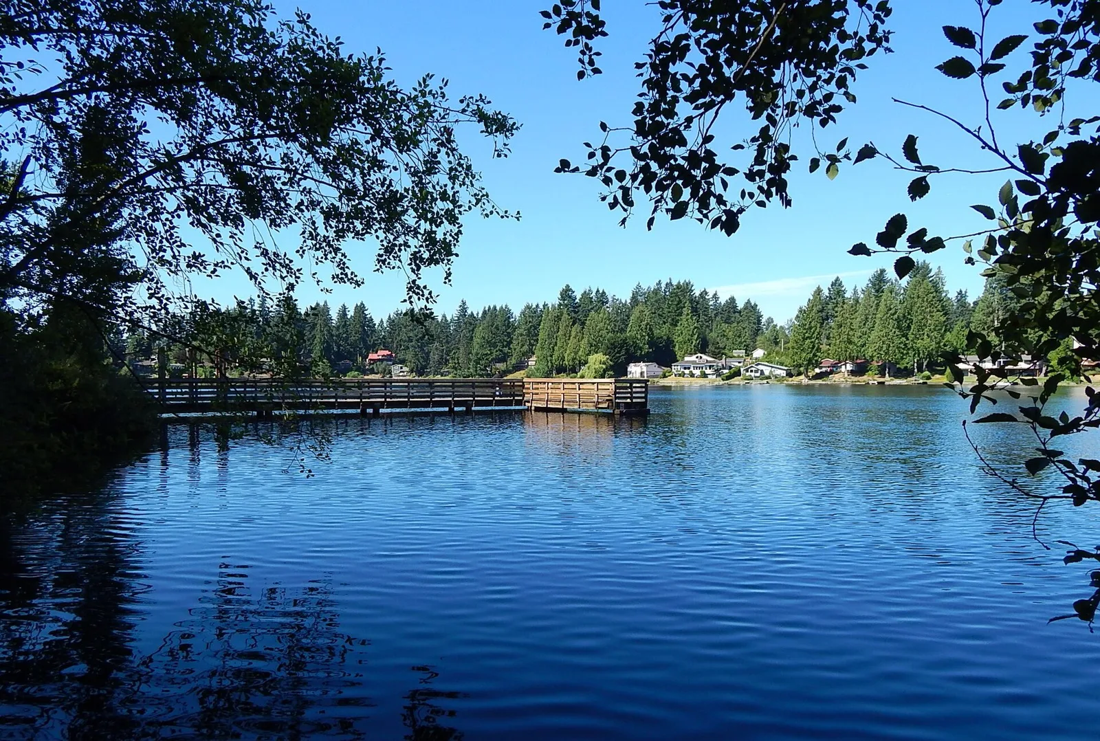 Federal Way, Washington: Five Mile Lake Park, Auburn, WA