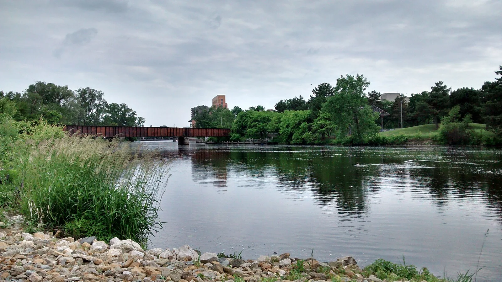Lansing, Michigan: Grand River overlooking Lansing River Trail Bridge