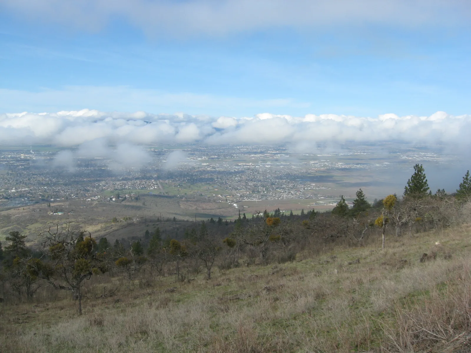 Medford, Oregon: Medford from Roxy Ann