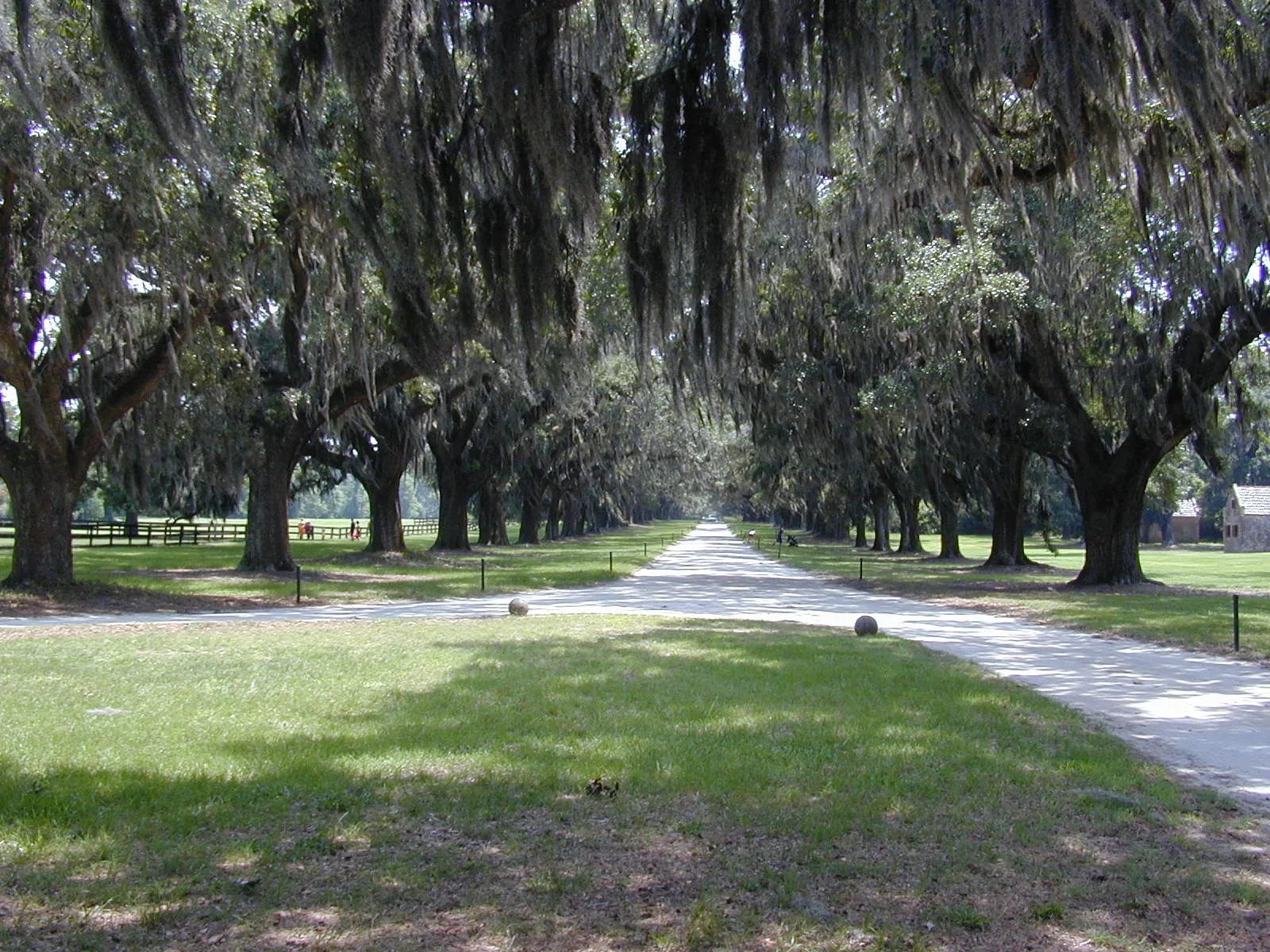 Vista de Mount Pleasant, South Carolina: BooneHall2
