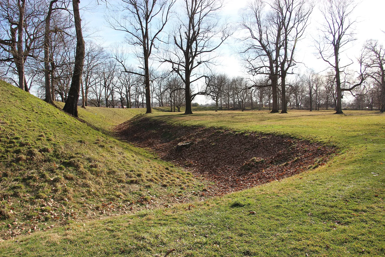 Newark, Ohio 当地景观:Newark Earthworks mound 2