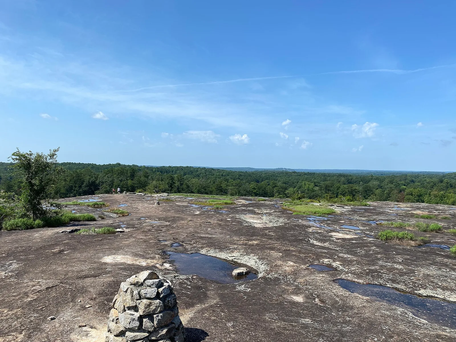 Stonecrest, Georgia 当地景观:Arabia Mountain Aug 2023 01