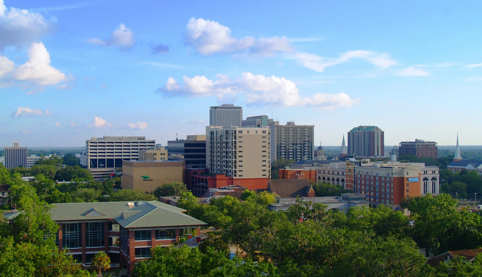 Tallahassee, Florida 当地景观:TallahasseeSkyline2