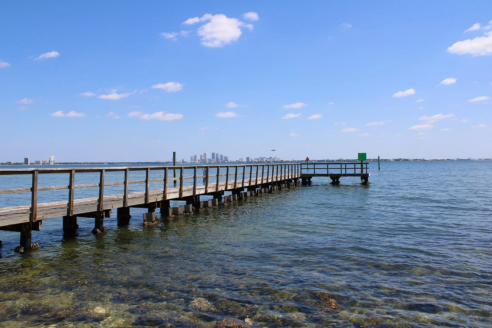Tampa, Florida 当地景观:Tampa Skyline from Ballast Point Park April 2024