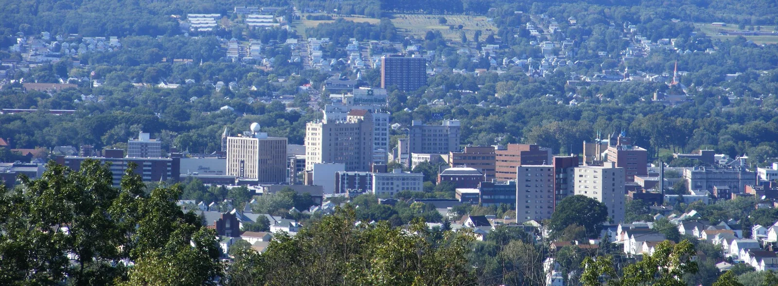 Wilkes-Barre, Pennsylvania 当地景观:Wilkes Barre Panorama